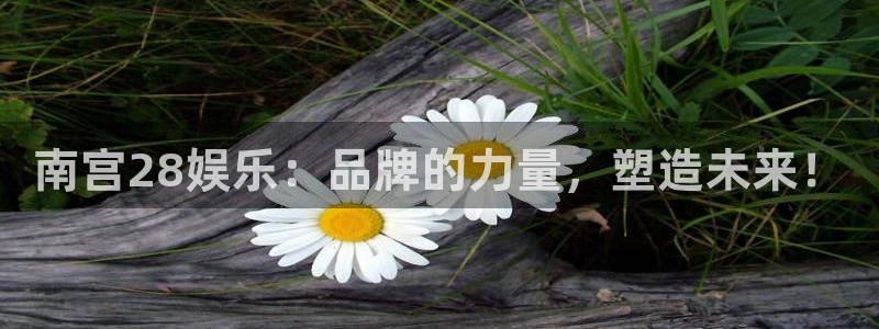 7790必发集团4注册：南宫28娱乐：品牌的力量，塑造未来！