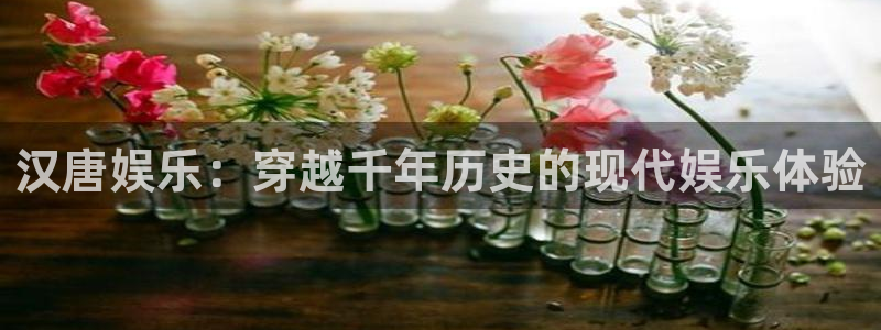7790必发集团4开户：汉唐娱乐：穿越千年历史的现代娱乐体验
