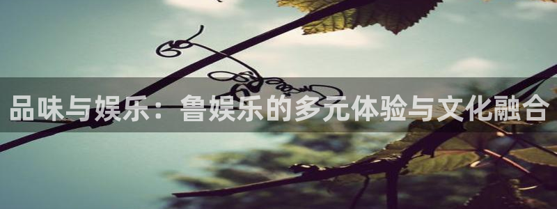 7790必发集团招商：品味与娱乐：鲁娱乐的多元体验与文化融合