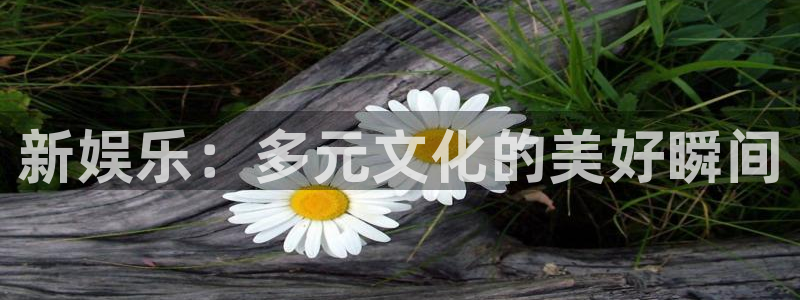 7790必发集团凯捷平台注册链接：新娱乐：多元文化的美好瞬间