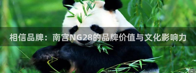 7790必发集团3登录：相信品牌：南宫NG28的品牌价值与文化影响力
