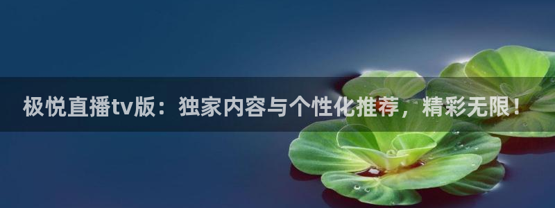 7790必发集团平台招商：极悦直播tv版：独家内容与个性化推荐，精彩无限！