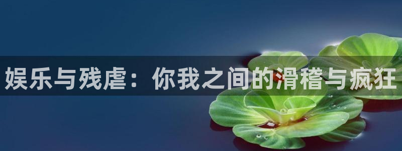 7790必发集团官网入口：娱乐与残虐：你我之间的滑稽与疯狂