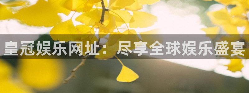 7790必发集团4代理：皇冠娱乐网址：尽享全球娱乐盛宴