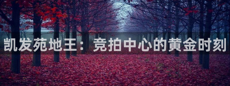 7790必发集团体育论坛：凯发苑地王：竞拍中心的黄金时刻