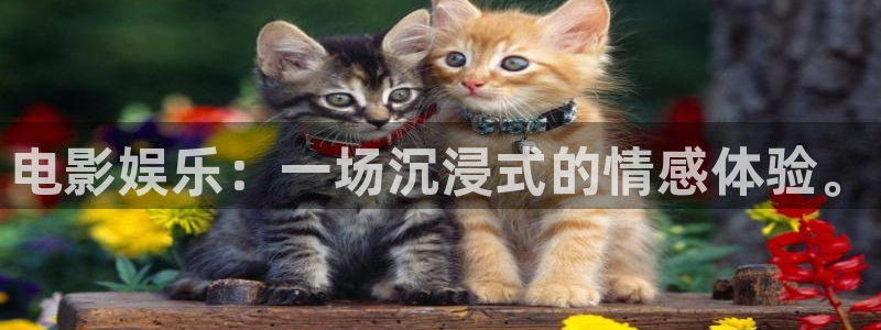7790必发集团平台在线开户：电影娱乐：一场沉浸式的情感体验。