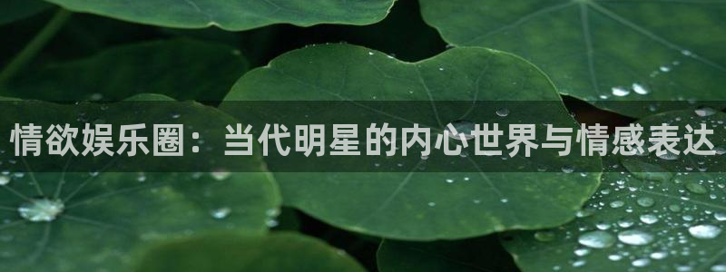 7790必发集团4登录：情欲娱乐圈：当代明星的内心世界与情感表达