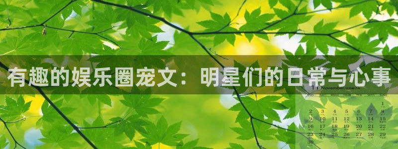 7790必发集团体育f开户：有趣的娱乐圈宠文：明星们的日常与心事