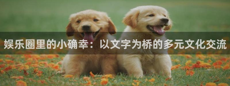 7790必发集团2平台：娱乐圈里的小确幸：以文字为桥的多元文化交流