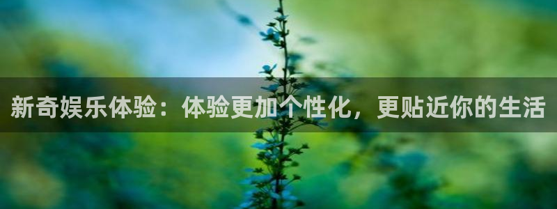 7790必发集团vk：新奇娱乐体验：体验更加个性化，更贴近你的生活