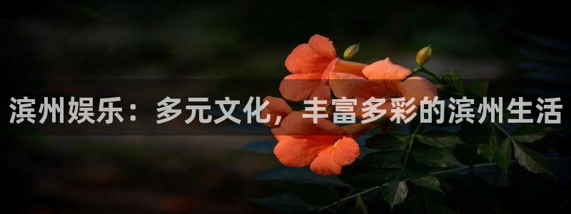 7790必发集团平台主管