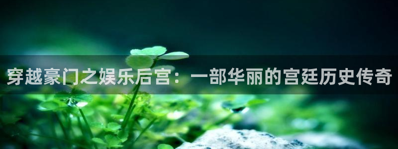 7790必发集团体育论坛：穿越豪门之娱乐后宫：一部华丽的宫廷历史传奇