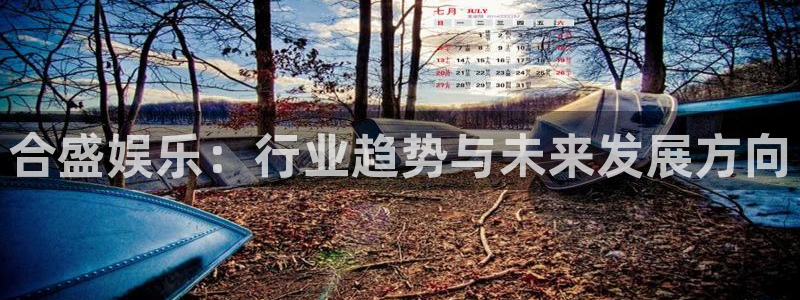 7790必发集团5招商：合盛娱乐：行业趋势与未来发展方向