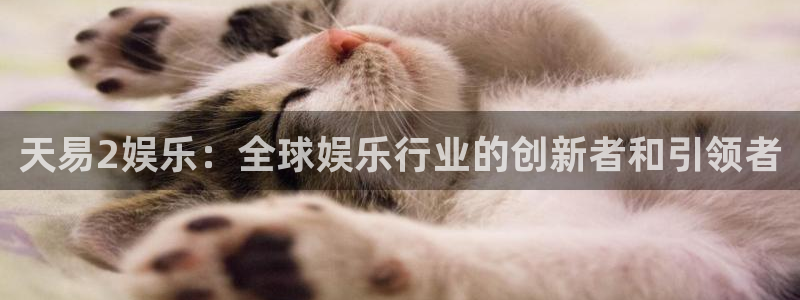 7790必发集团集团股票：天易2娱乐：全球娱乐行业的创新者和引领者