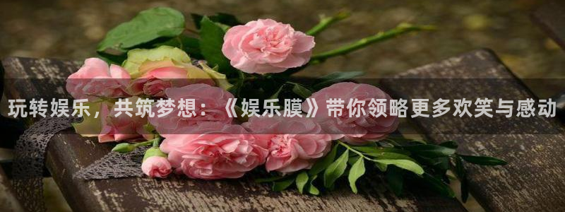 上海7790必发集团汽车电子有限公司：玩转娱乐，共筑梦想：《娱乐膜》带你领略更多欢笑与感动