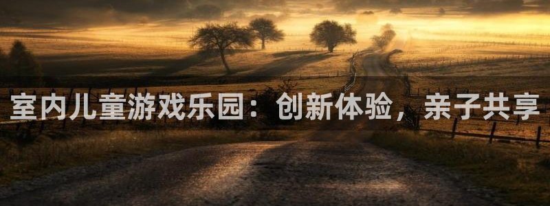 7790必发集团体育平台总代理：室内儿童游戏乐园：创新体验，亲子共享