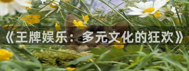 7790必发集团平台注册：《王牌娱乐：多元文化的狂欢》