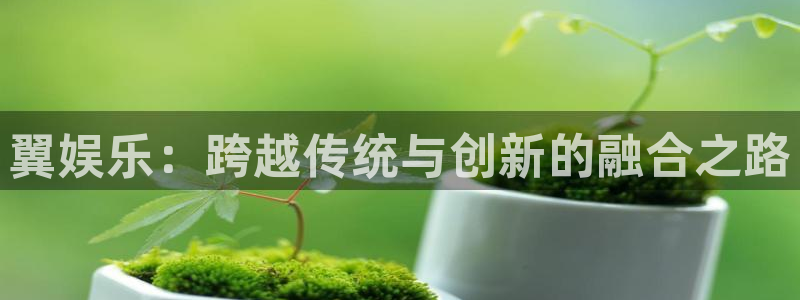 7790必发集团体育平台开号链接：翼娱乐：跨越传统与创新的融合之路
