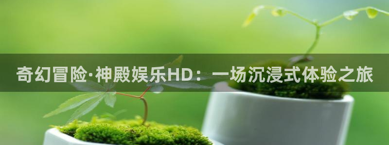 www.7790必发集团体育.com：奇幻冒险·神殿娱乐HD：一场沉浸式体验之旅
