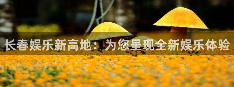 7790必发集团平台开户链接：长春娱乐新高地：为您呈现全新娱乐体验