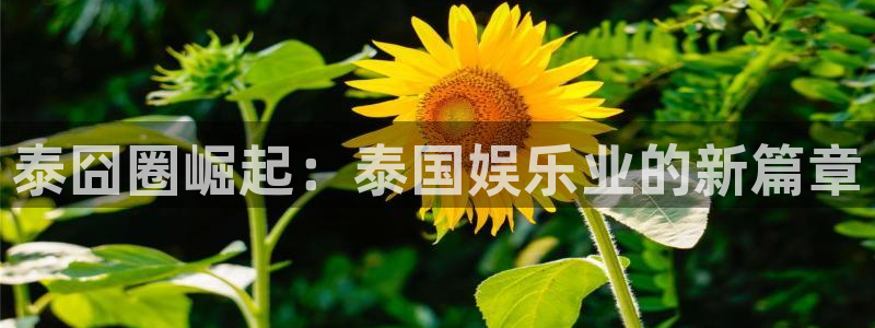 7790必发集团凯捷开号链接：泰囧圈崛起：泰国娱乐业的新篇章