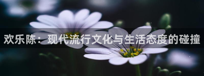 7790必发集团体育代理申请流程：欢乐陈：现代流行文化与生活态度的碰撞